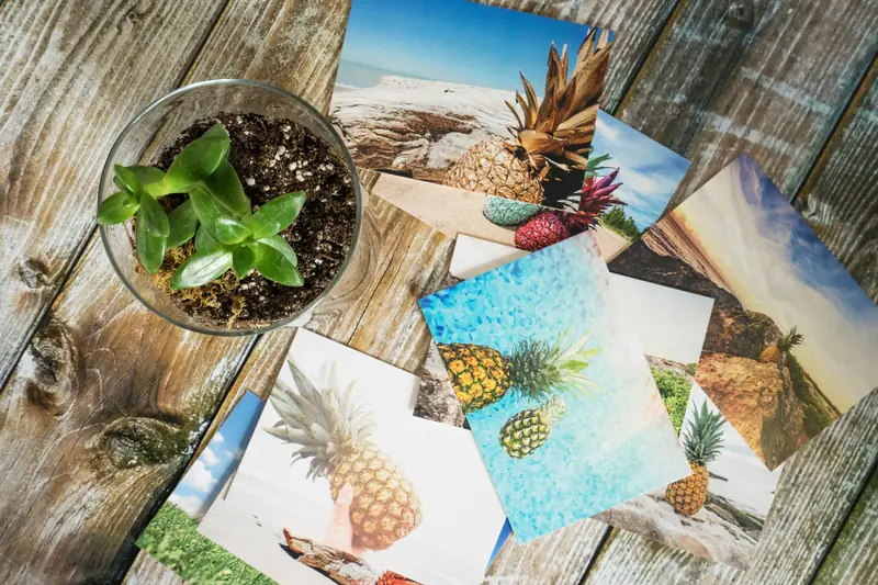 Postcards and a small plant spread out on a wooden table